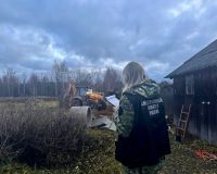 В деревне Пеньково Пестовского округа погиб рабочий