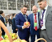 Золото «Золотой осени»