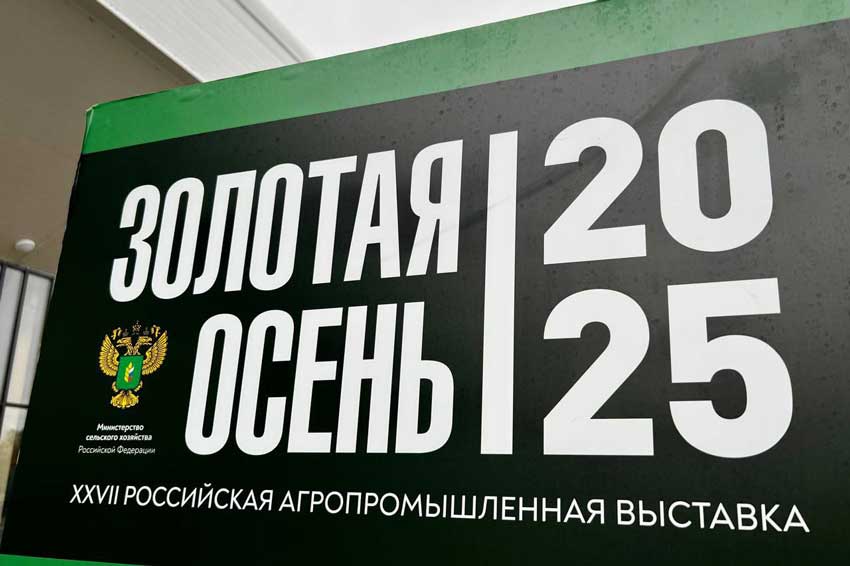 Золото «Золотой осени»