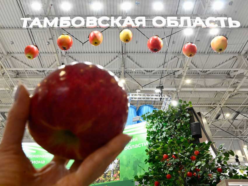 Золото «Золотой осени»