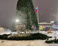 В Туле на площади Ленина начали установку новой новогодней елки