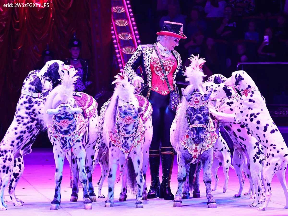 В Ярославском цирке зрителей шоу «Бурлеск» поприветствовал Гия Эрадзе