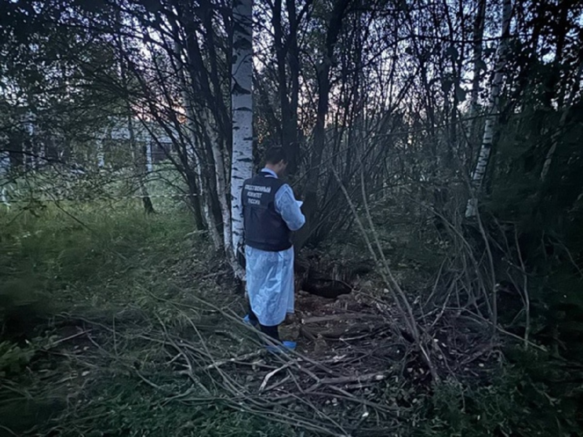 В колодце утонул 4-летний мальчик.