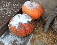 В Ивановской области ожидается ледяной дождь и мокрый снег