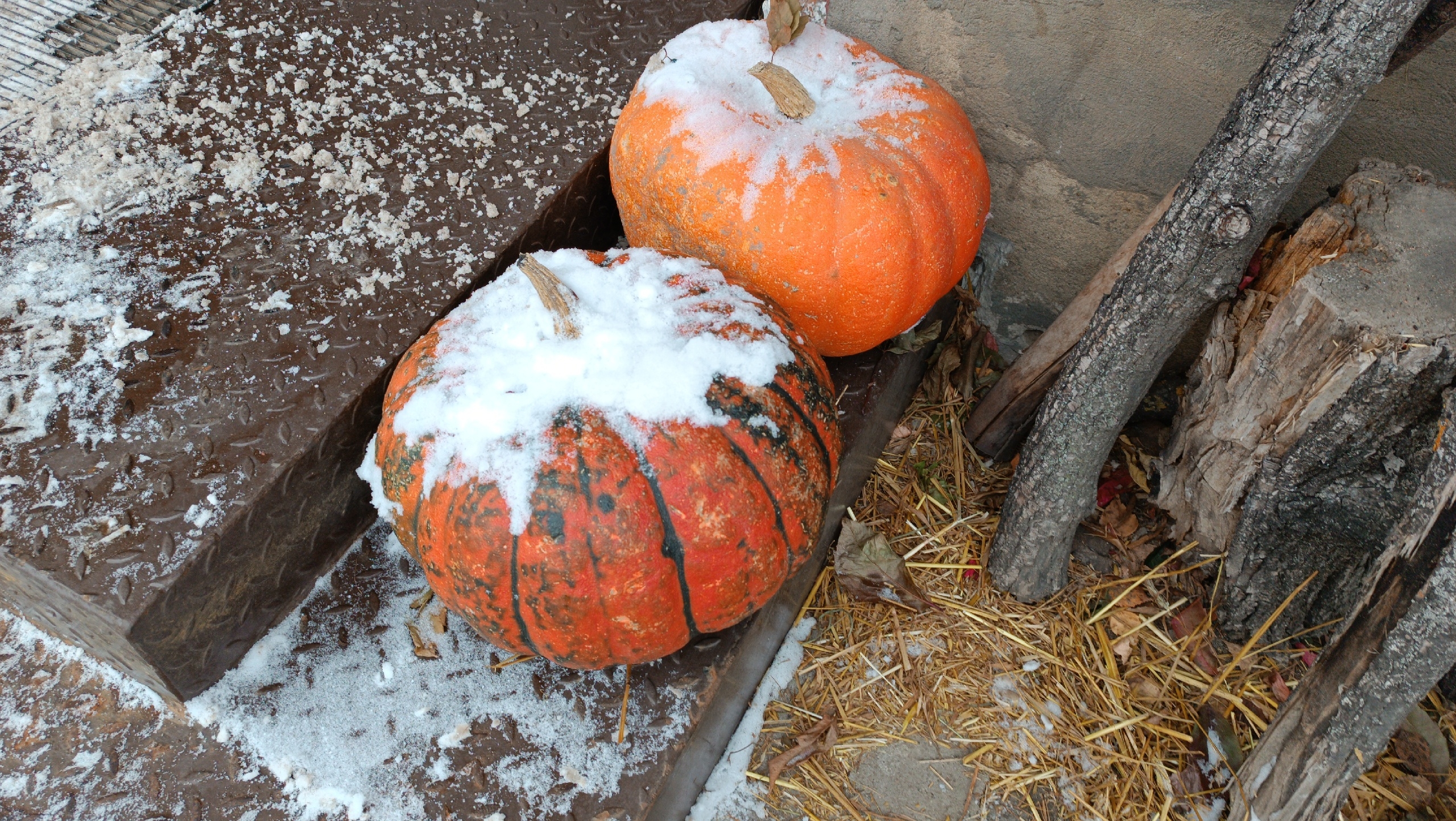 В Ивановской области ожидается ледяной дождь и мокрый снег