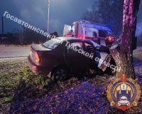 В Тульской области женщина с подростком на иномарке врезалась в дерево