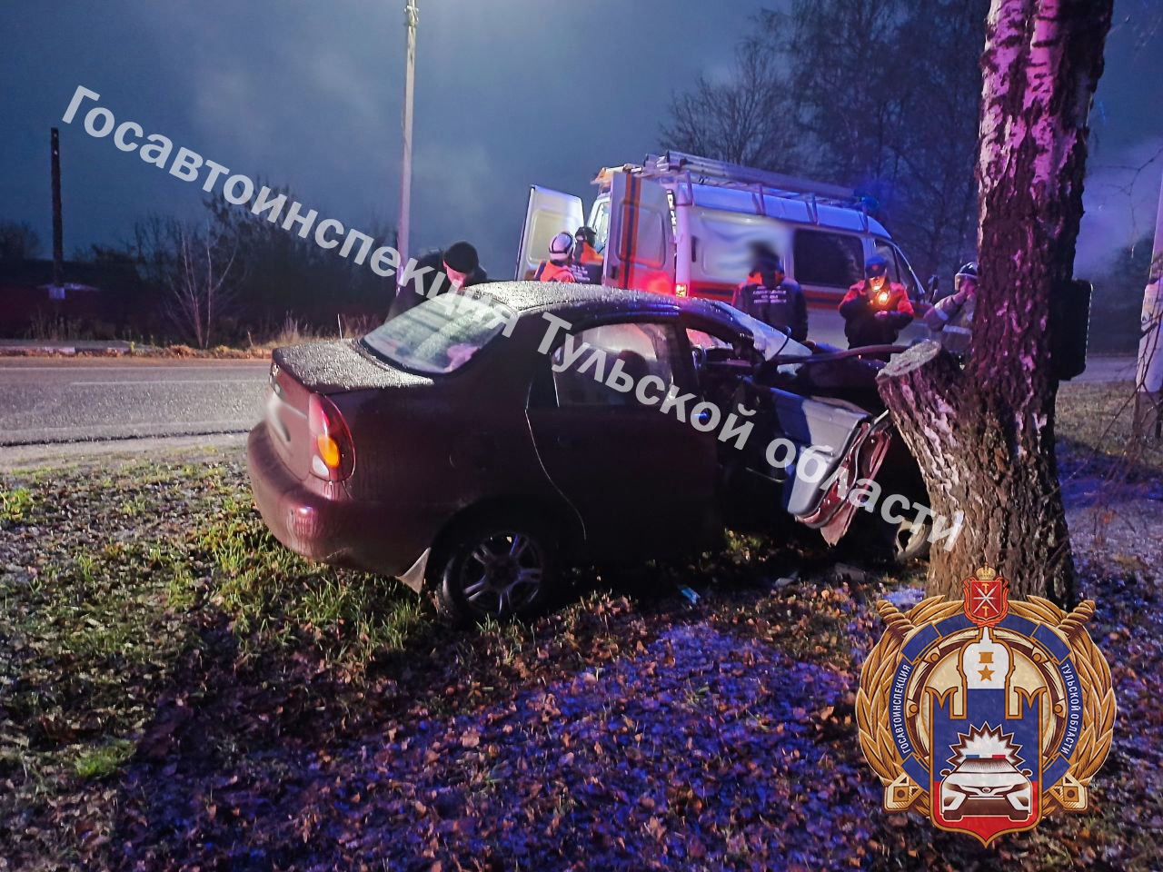 В Тульской области женщина с подростком на иномарке врезалась в дерево