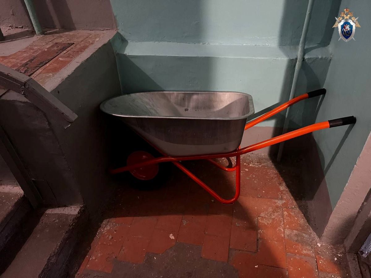 убил мужчину и пытался вынести тело в ковре