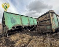 два десятка вагонов сошли с рельсов