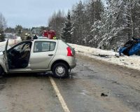В Пестовском округе при лобовом столкновении автомобилей погибли двое пенсионеров