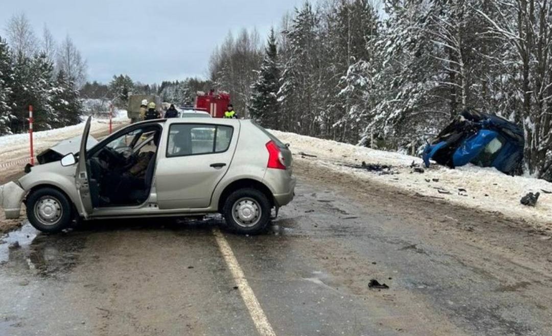 В Пестовском округе при лобовом столкновении автомобилей погибли двое пенсионеров