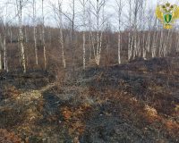 Хабаровский край