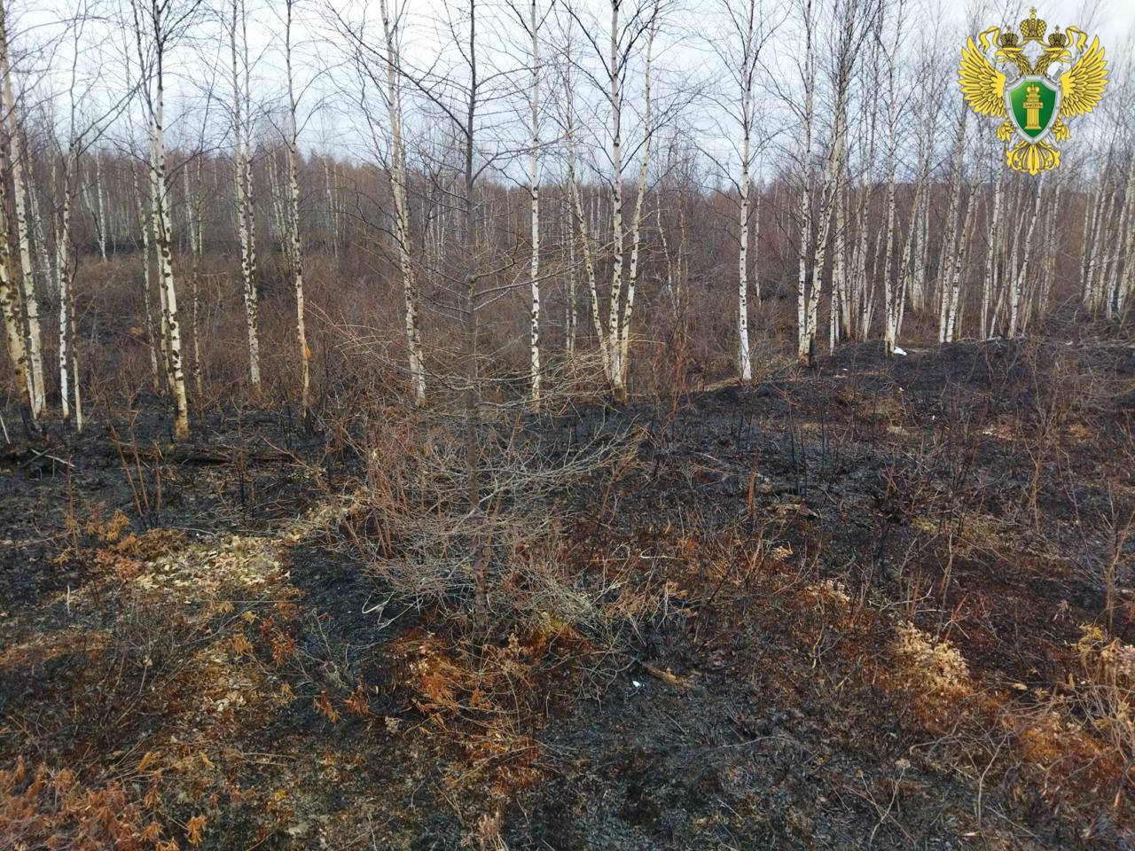 Хабаровский край