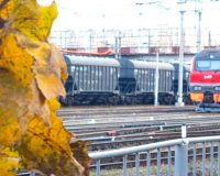 Погрузка жмыхов на железной дороге в Орловской области выросла на 23% в январе-октябре