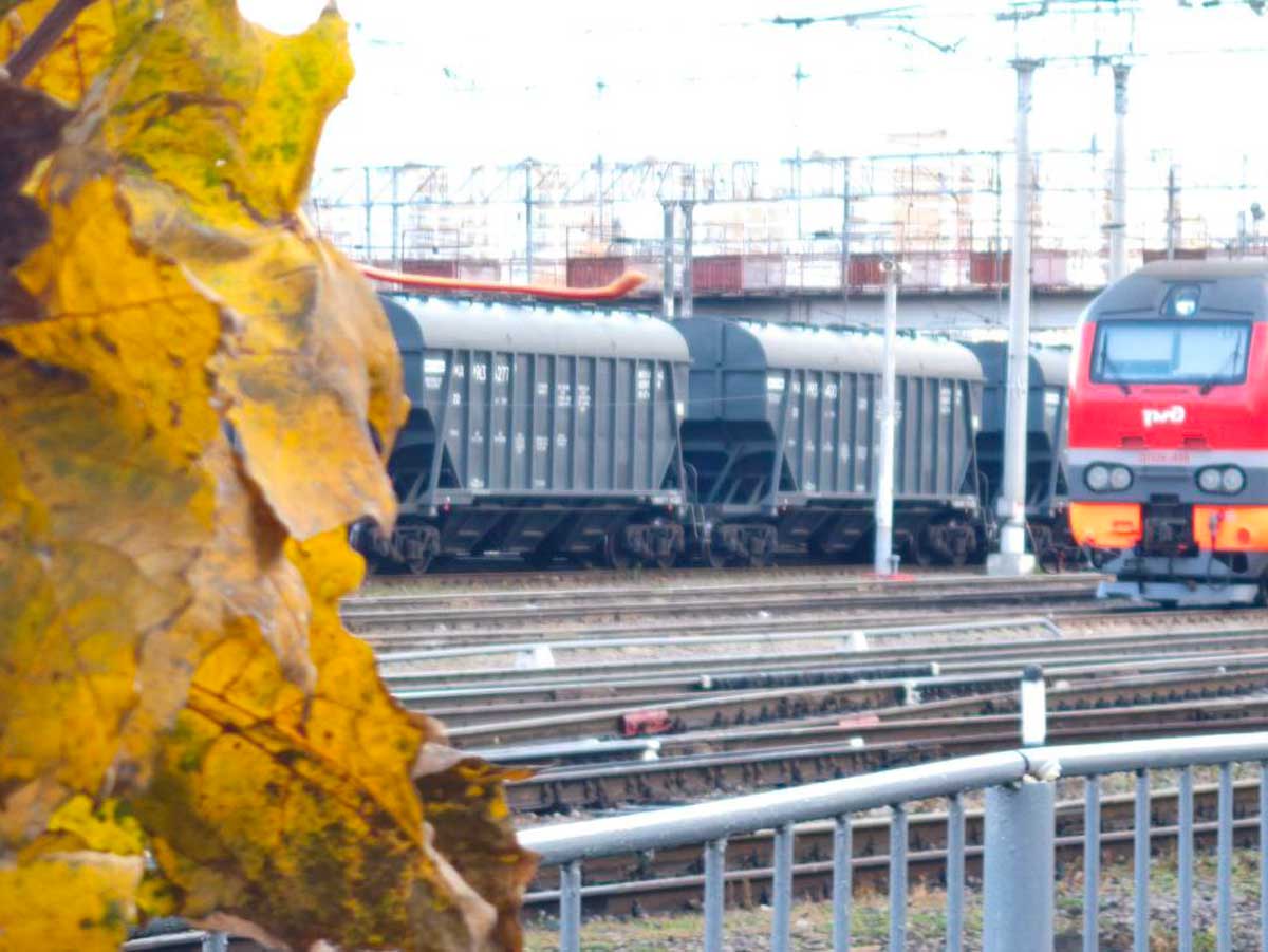 Погрузка жмыхов на железной дороге в Орловской области выросла на 23% в январе-октябре