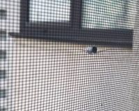 обстрел пневматикой