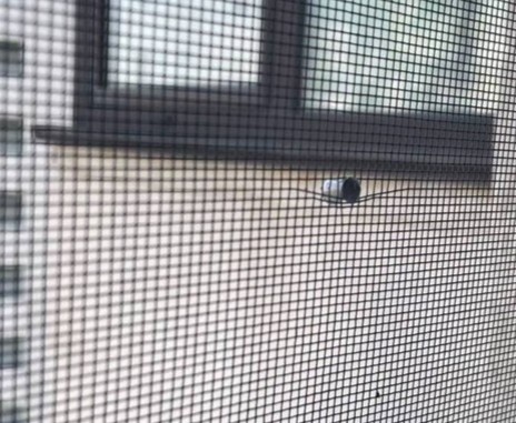 обстрел пневматикой