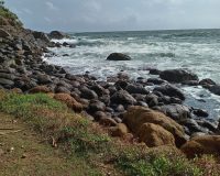 Ноль процентов от плановых показателей