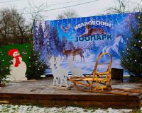 Ивановцев призывают отказаться от фейерверков вблизи зоопарка