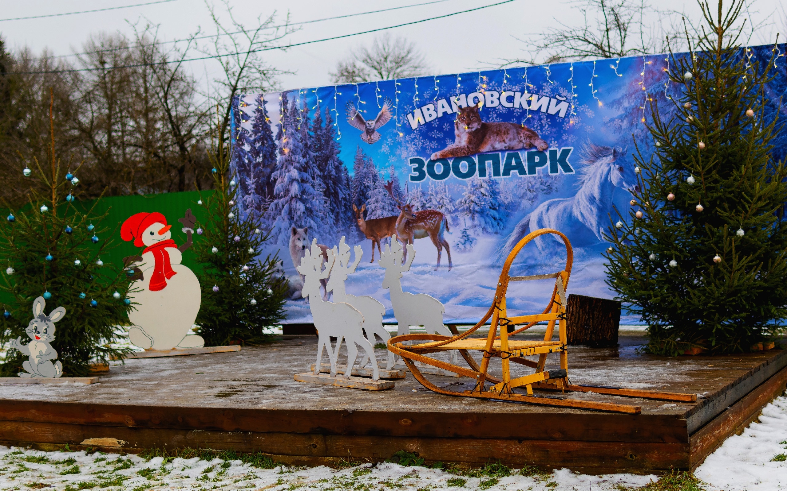 Ивановцев призывают отказаться от фейерверков вблизи зоопарка