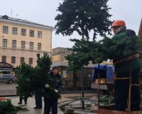В Иванове начали наряжать новогоднюю ель на площади Ленина