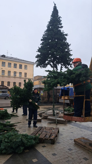 В Иванове начали наряжать новогоднюю ель на площади Ленина