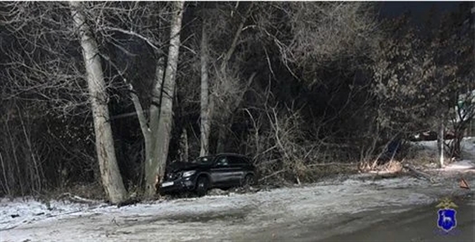 протаранила дерево