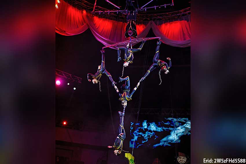 «Новогоднее