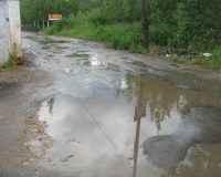 В Новгородской области дороги приведут в порядок: потребуется два года