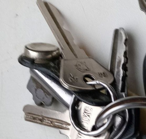 Хозяйке резиновой комнаты из Великого Новгорода назначен штраф