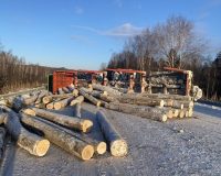 Хабаровский край