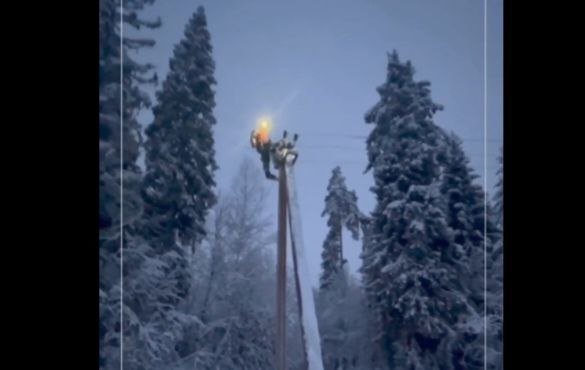 Накануне Нового года в Новгородской области энергетики продолжают устранять обрывы линий электропередач