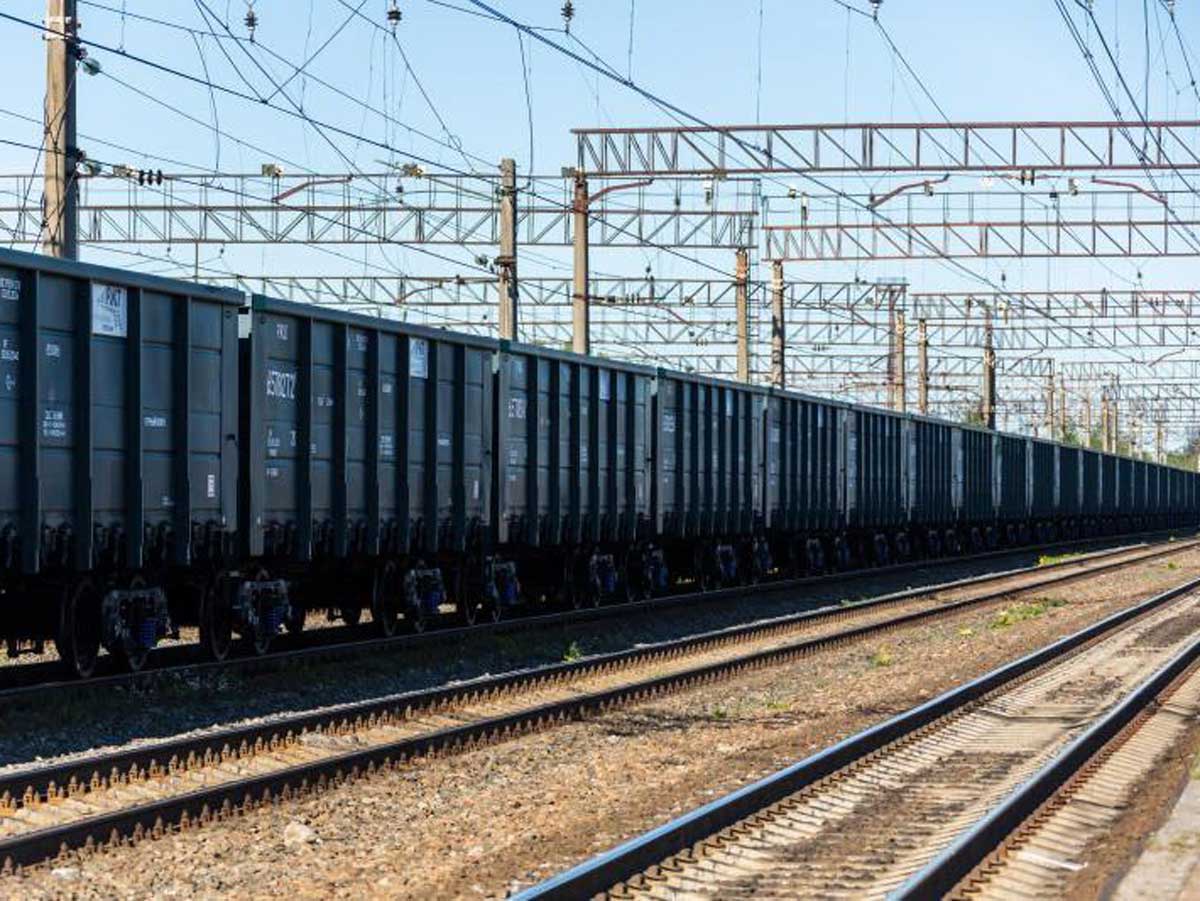 Погрузка жмыхов на железной дороге в Орловской области выросла на 18% в январе-ноябре