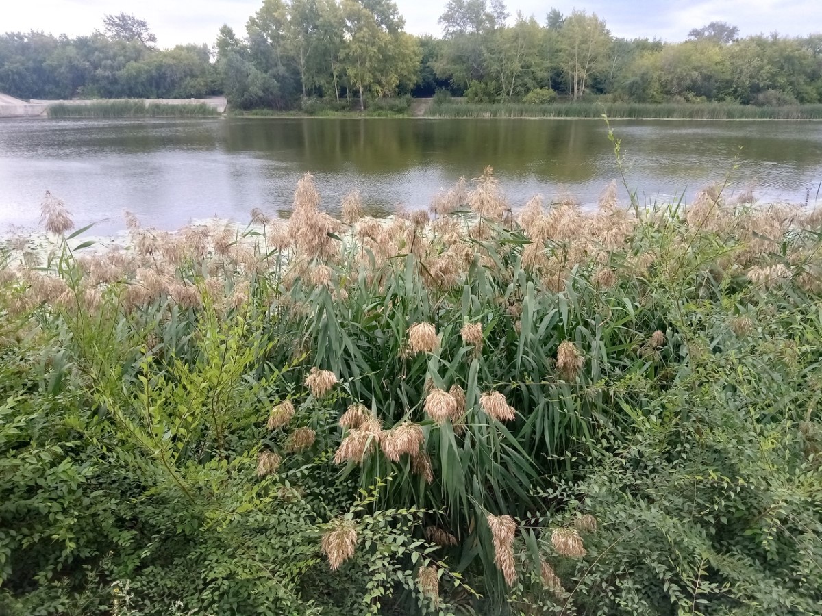 с ножом на берегу