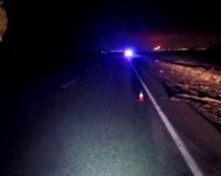 насмерть сбили