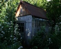 дача старая