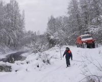 Прокуратура Новгородской области поставила на контроль ход восстановления электроснабжения региона