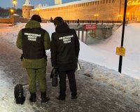 Разбившаяся в Великом Новгороде на «ватрушке» девочка идёт на поправку