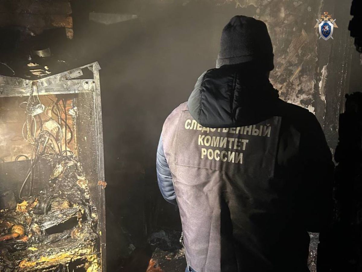 девочка из многодетной семьи сгорела вместе с домом