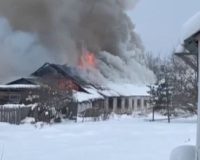 В Новгородской области в пожарах погибли люди, кони…