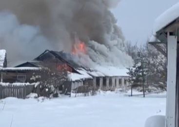В Новгородской области в пожарах погибли люди, кони…