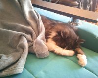 В Иванове энергетики повышают температуру воды из-за грядущих холодов