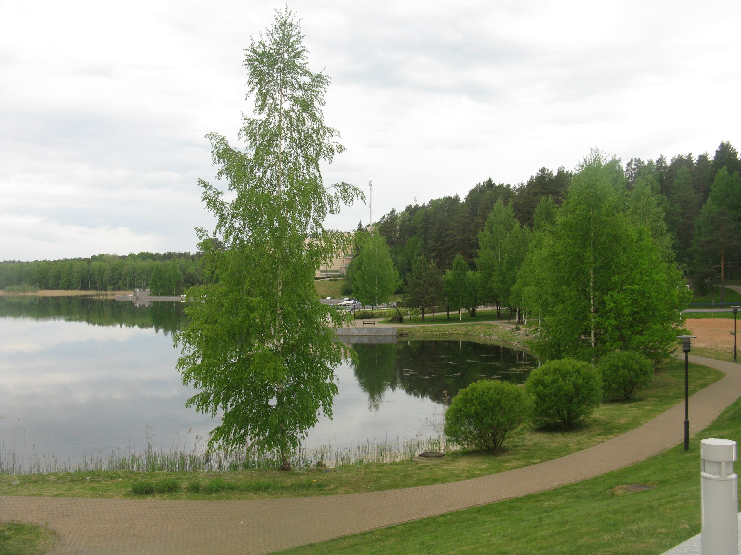 В Крестцах вынесен приговор лесорубу