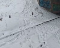 катались на рельсы