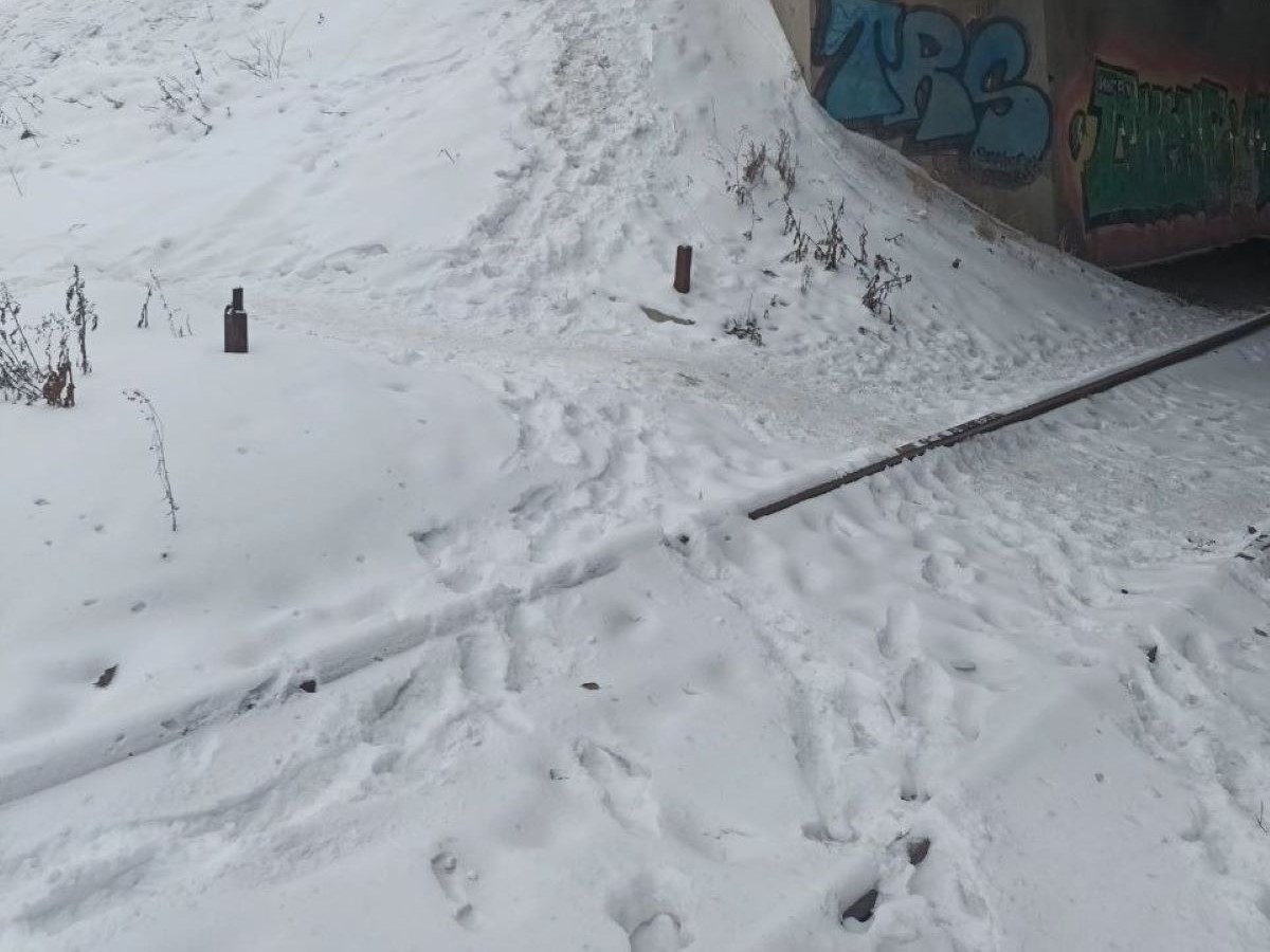 катались на рельсы