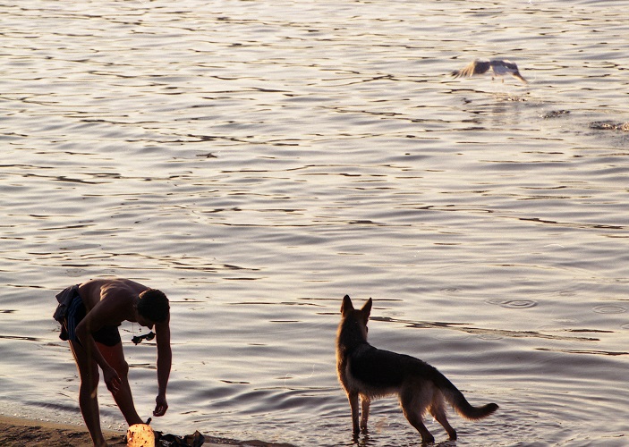Россиянин на Бали вытащил из бушующего океана тонущую собаку