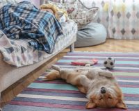 Ученые выяснили причину плохого сна в первую ночь на новом месте