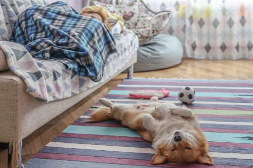 Ученые выяснили причину плохого сна в первую ночь на новом месте