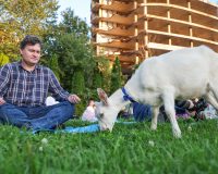 коза и человек