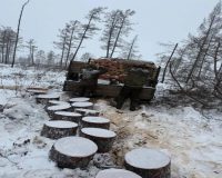 Хабаровский края